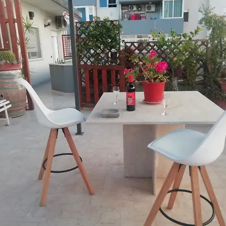 Tulipano Rosso Trapani