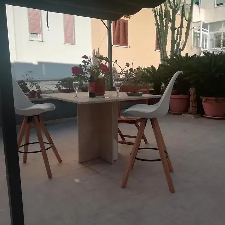 Tulipano Rosso * Trapani
