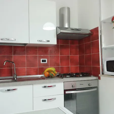 Tulipano Rosso Trapani