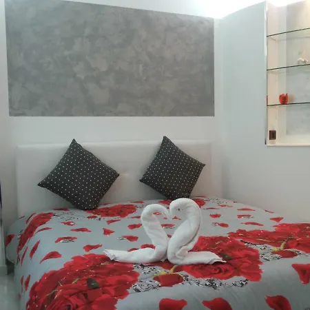 Tulipano Rosso Trapani